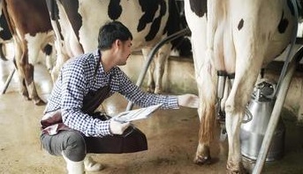 International Academic Conferences on Dairy Science